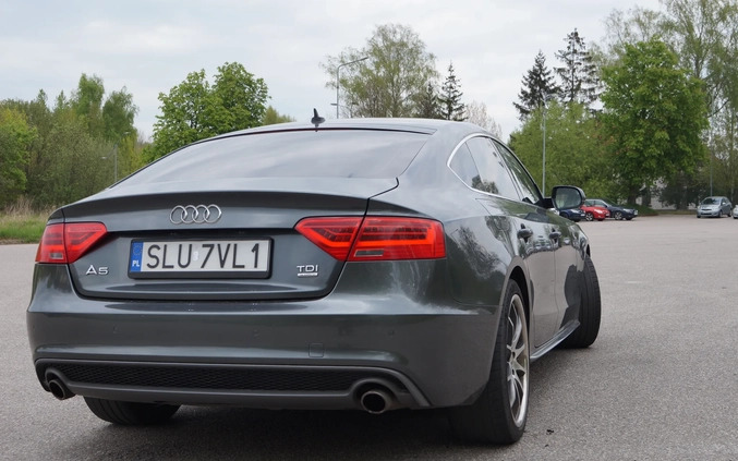 Audi A5 cena 44900 przebieg: 425000, rok produkcji 2012 z Elbląg małe 106